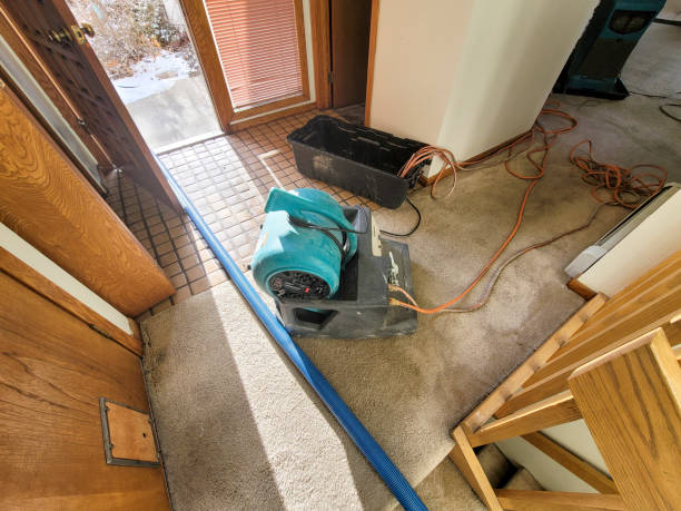 Best Professional water damage repair  in Leetsdale, PA