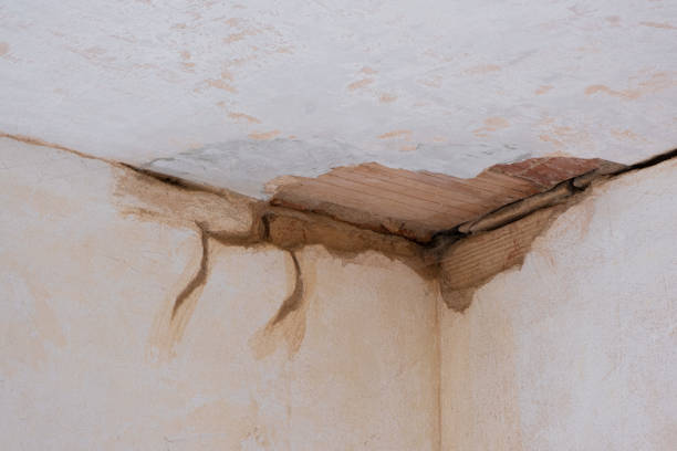 Best Water damage restoration services  in Leetsdale, PA
