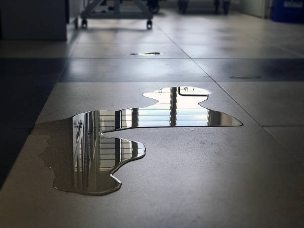 Best 24/7 water damage repair  in Leetsdale, PA