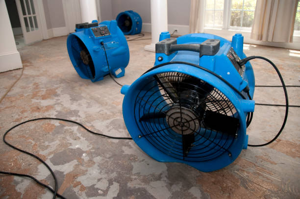 Best Sewage cleanup and water damage restoration  in Leetsdale, PA