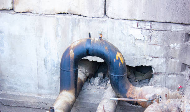 Best Water damage contractors near me  in Leetsdale, PA